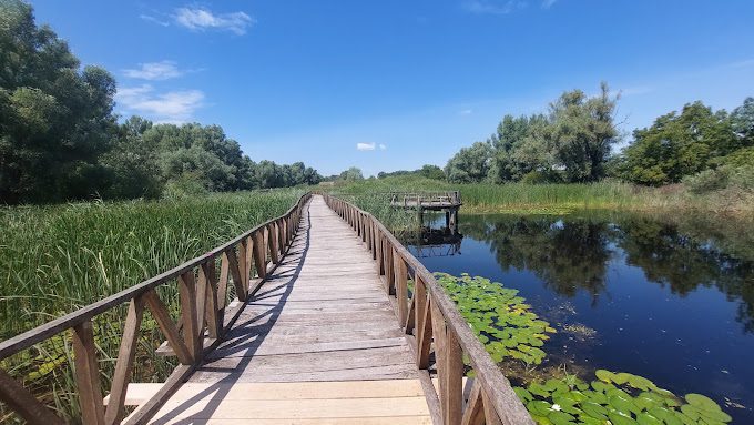 Park prirode Kopački rit – Europska Amazona